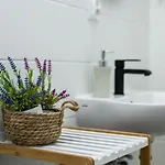 Sleepway - Boho Dream بوزنان