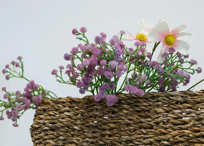 Sleepway - Boho Dream بوزنان